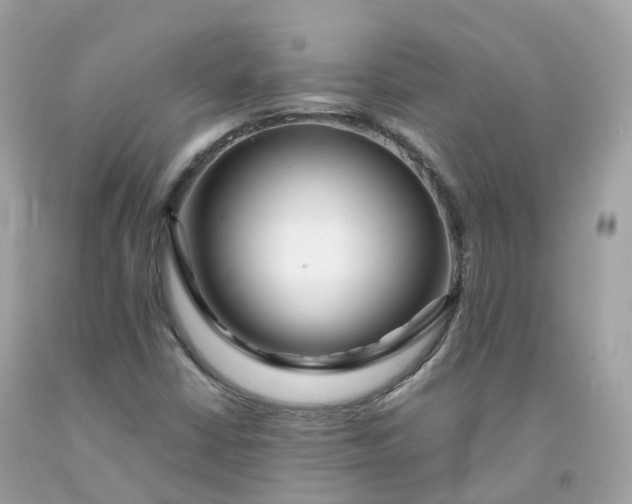 X0000091491402200709061851