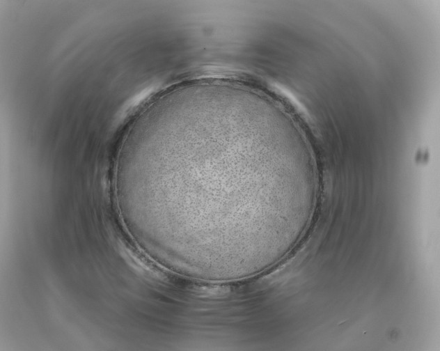 X0000091491403200709061851