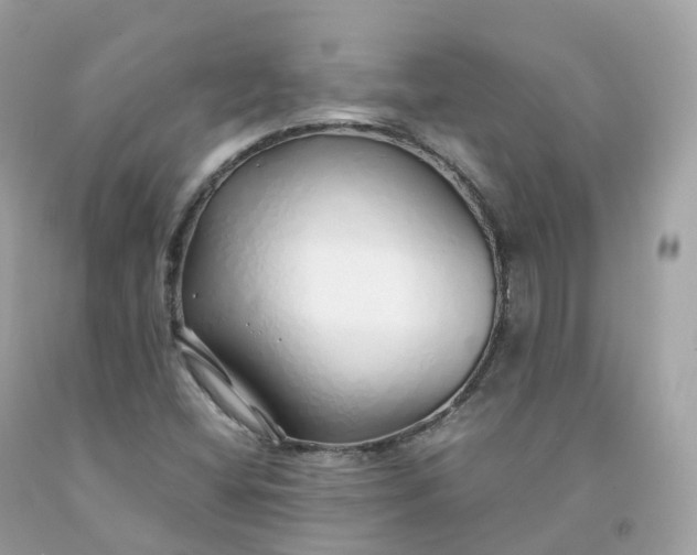 X0000091491404200709061851