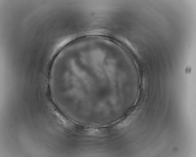 X0000091491405200709061851