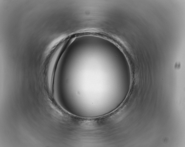 X0000091491406200709061851