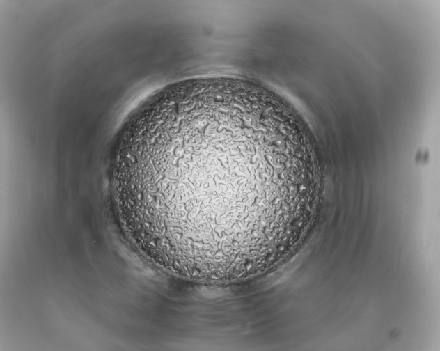 X0000091491407200709061851