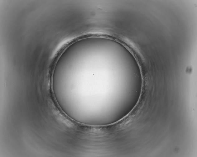 X0000091491408200709061851