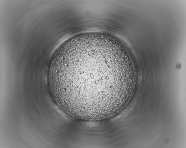 X0000091491409200709061851