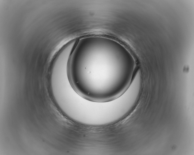 X0000091491410200709061851