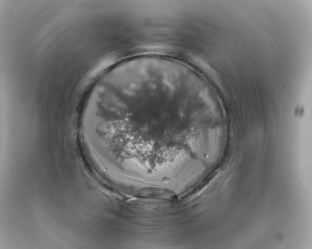 X0000091491411200709061851