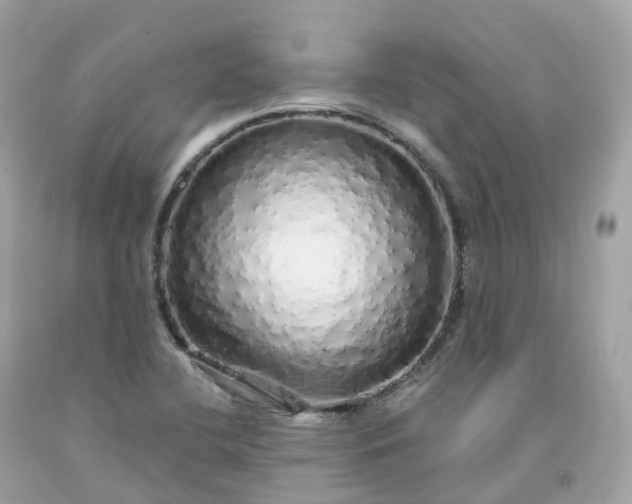 X0000091491412200709061851