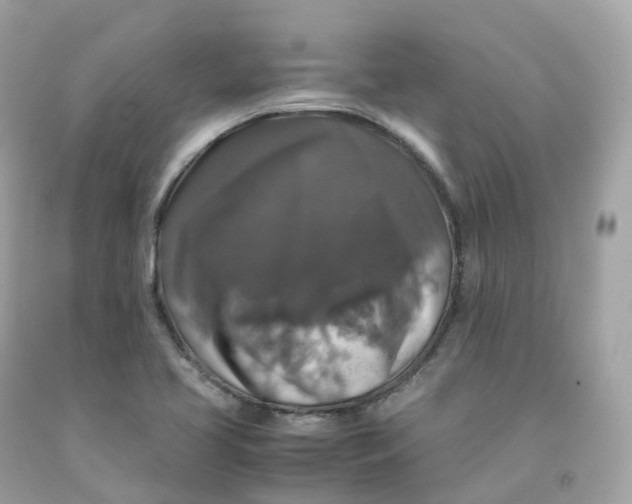 X0000091491413200709061851