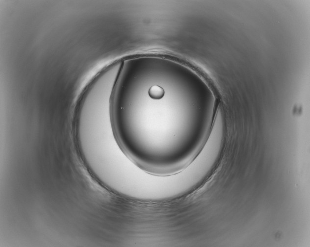 X0000091491414200709061851