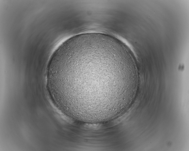 X0000091491415200709061851