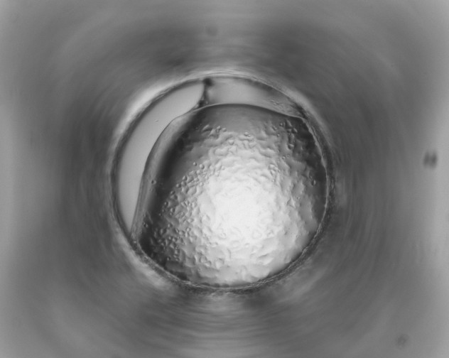 X0000091491416200709061851