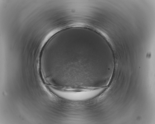 X0000091491418200709061851