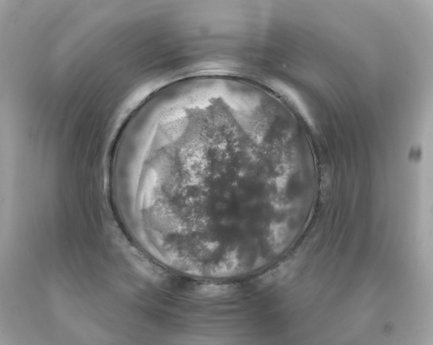 X0000091491419200709061851