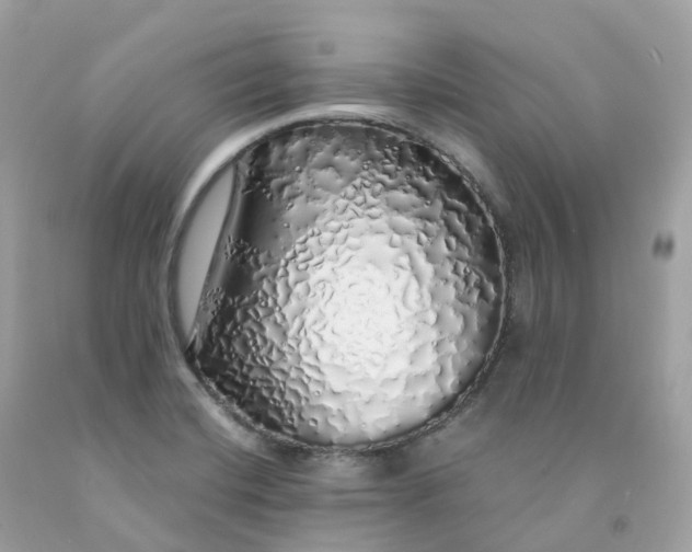 X0000091491420200709061851