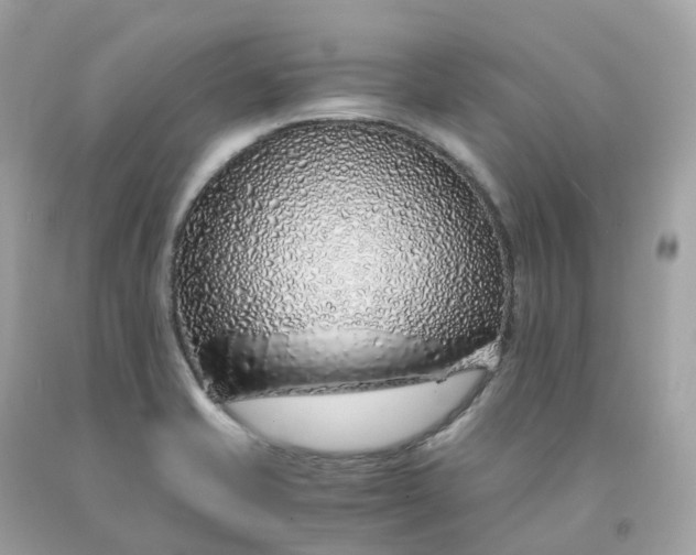 X0000091491421200709061851