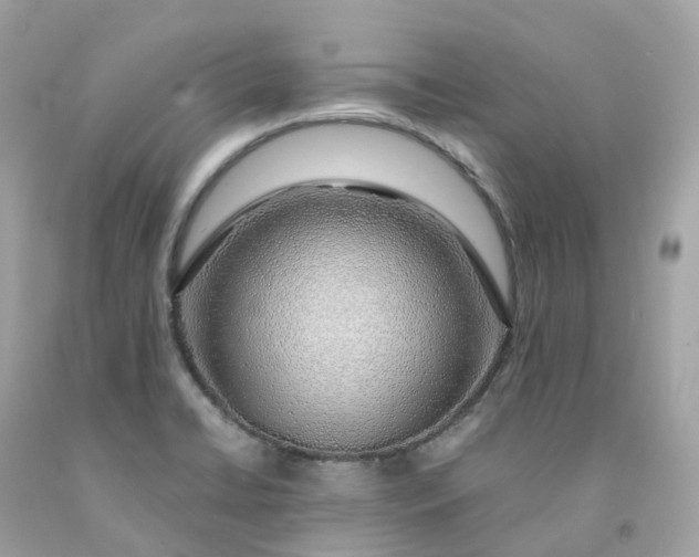 X0000091491422200709061851