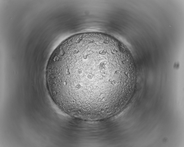 X0000091491423200709061851