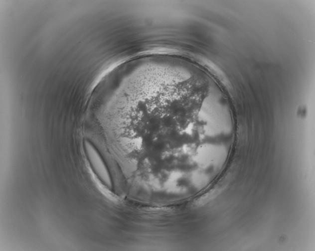 X0000091491425200709061851