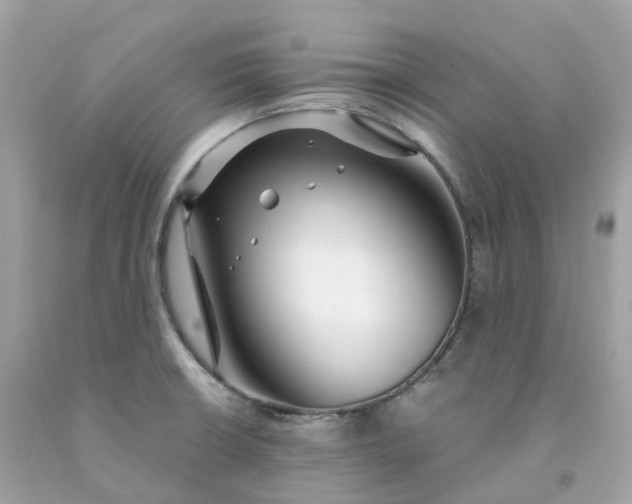 X0000091491426200709061851