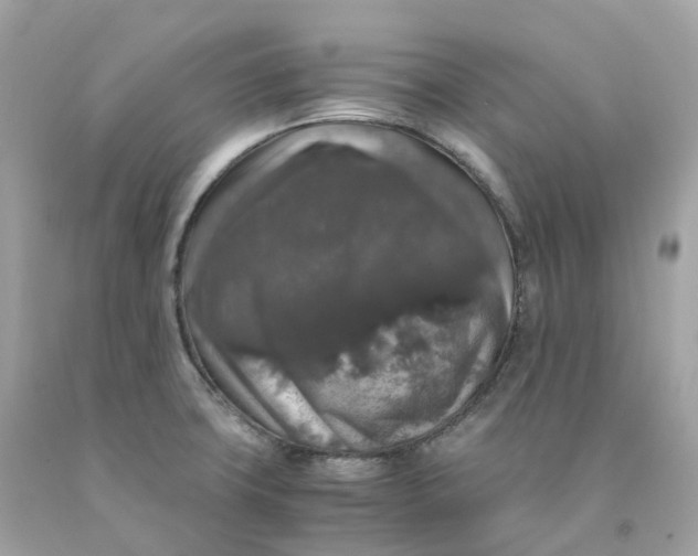 X0000091491427200709061851