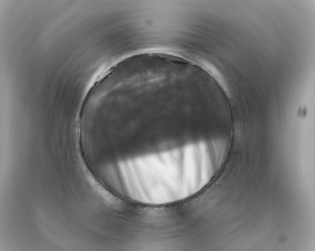 X0000091491428200709061851