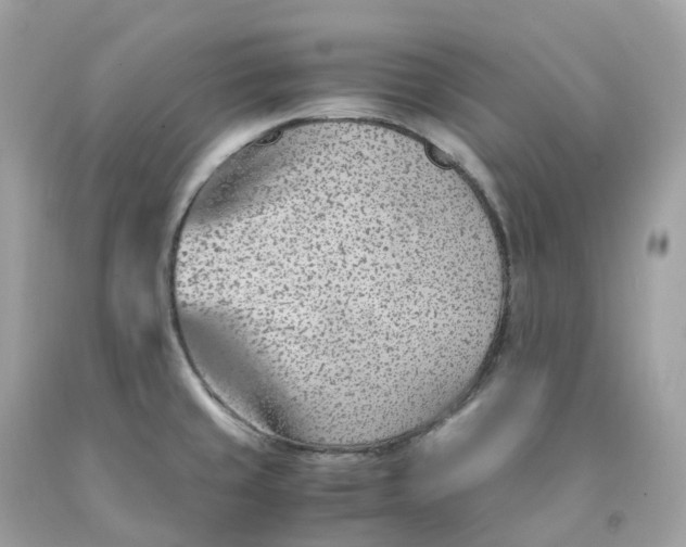 X0000091491429200709061851