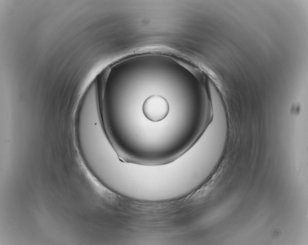 X0000091491430200709061851