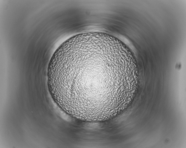 X0000091491431200709061851