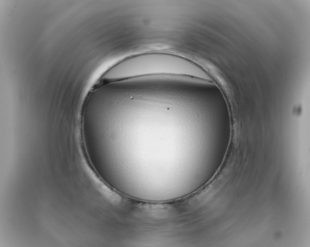 X0000091491432200709061851