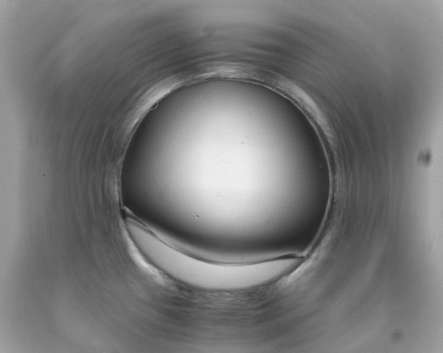 X0000091491433200709061851