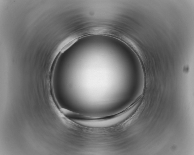 X0000091491434200709061851