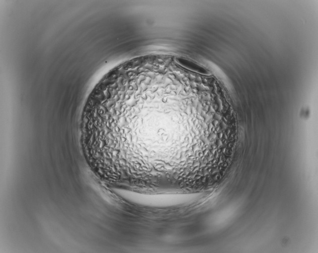 X0000091491435200709061851