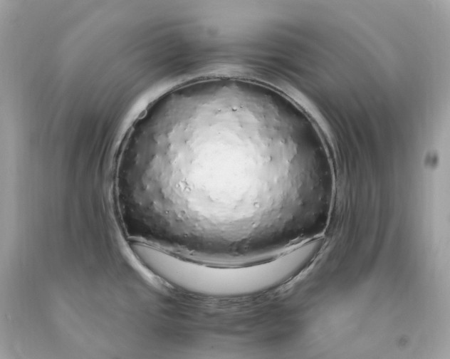 X0000091491437200709061851