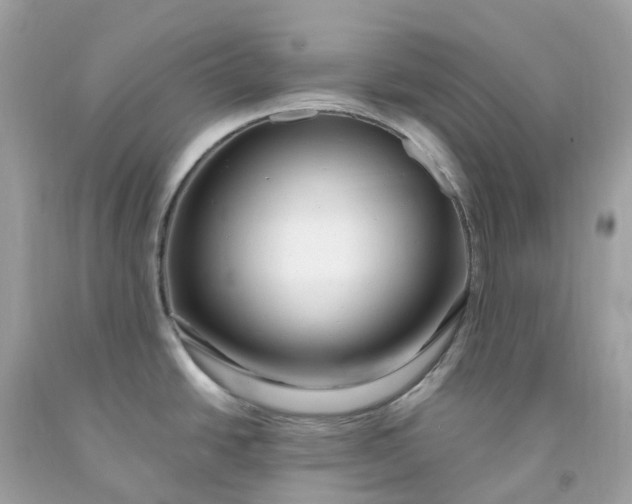 X0000091491438200709061851