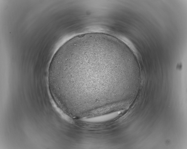 X0000091491439200709061851