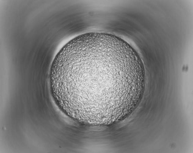 X0000091491440200709061851