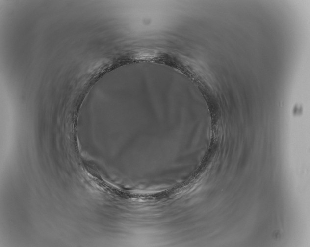 X0000091491441200709061851