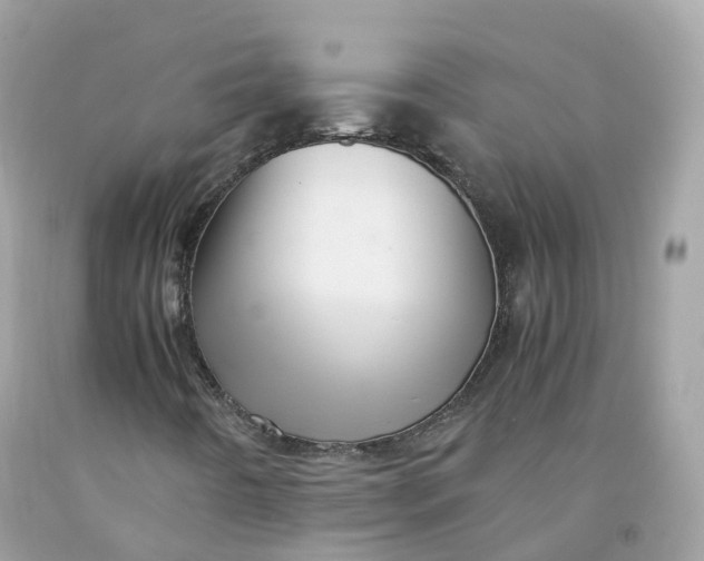 X0000091491442200709061851