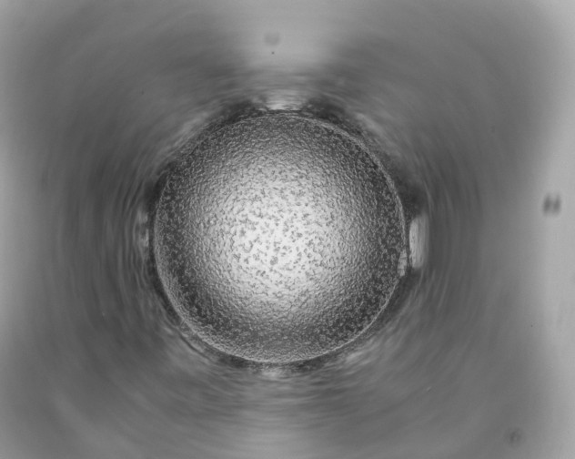 X0000091491443200709061851