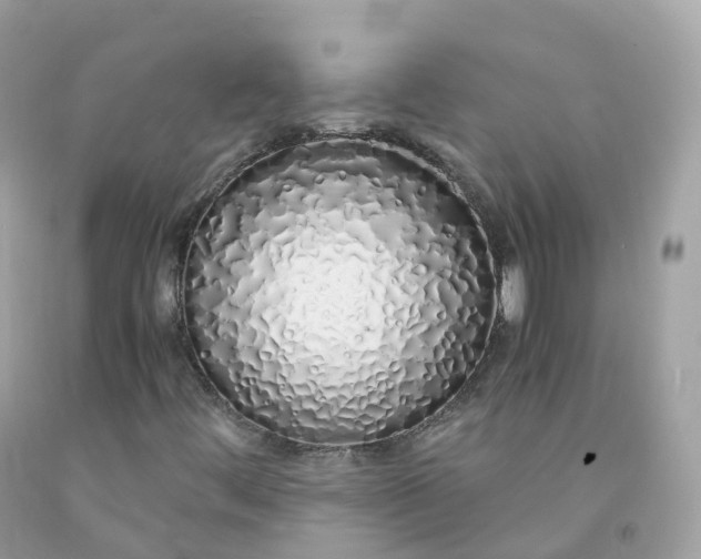 X0000091491444200709061851