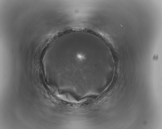 X0000091491445200709061851