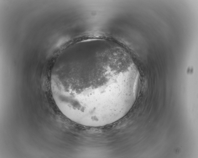 X0000091491446200709061851