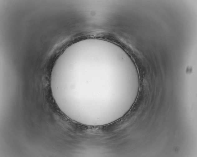 X0000091491447200709061851