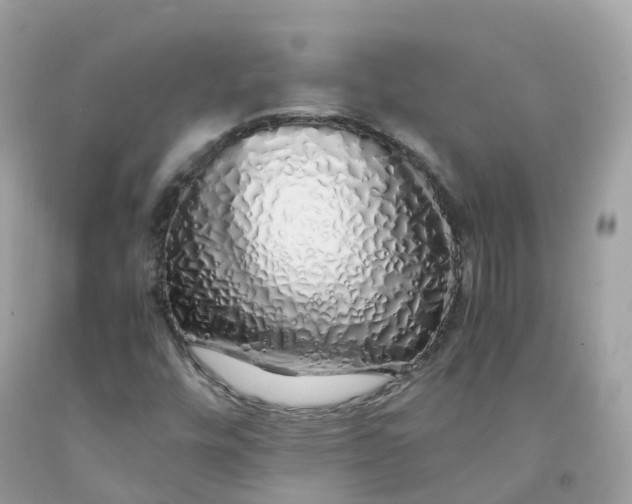 X0000091491448200709061851