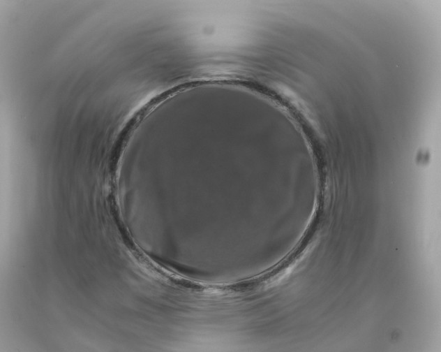 X0000091491449200709061851