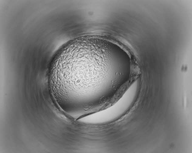 X0000091491450200709061851