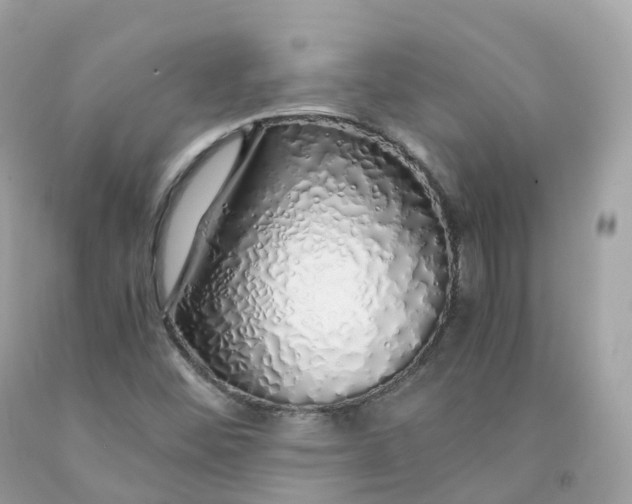 X0000091491452200709061851