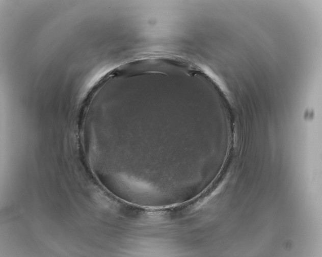 X0000091491453200709061850