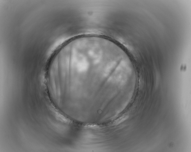 X0000091491454200709061850