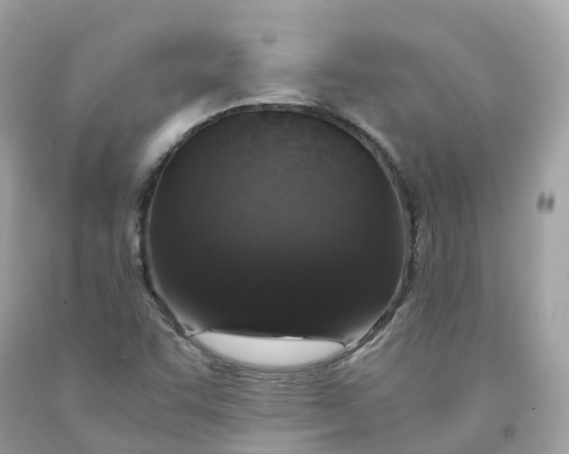 X0000091491455200709061850